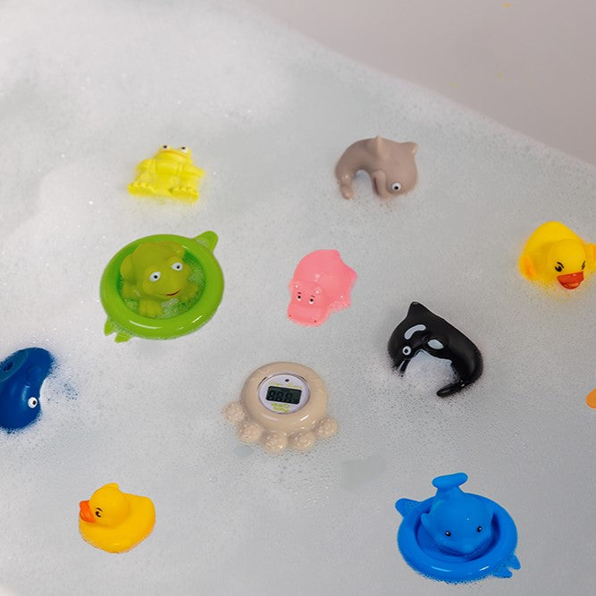ducks & frogs