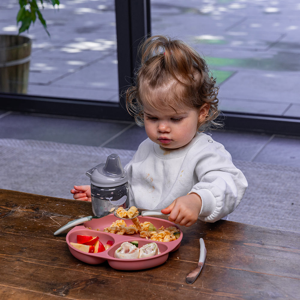 silicone suction plate